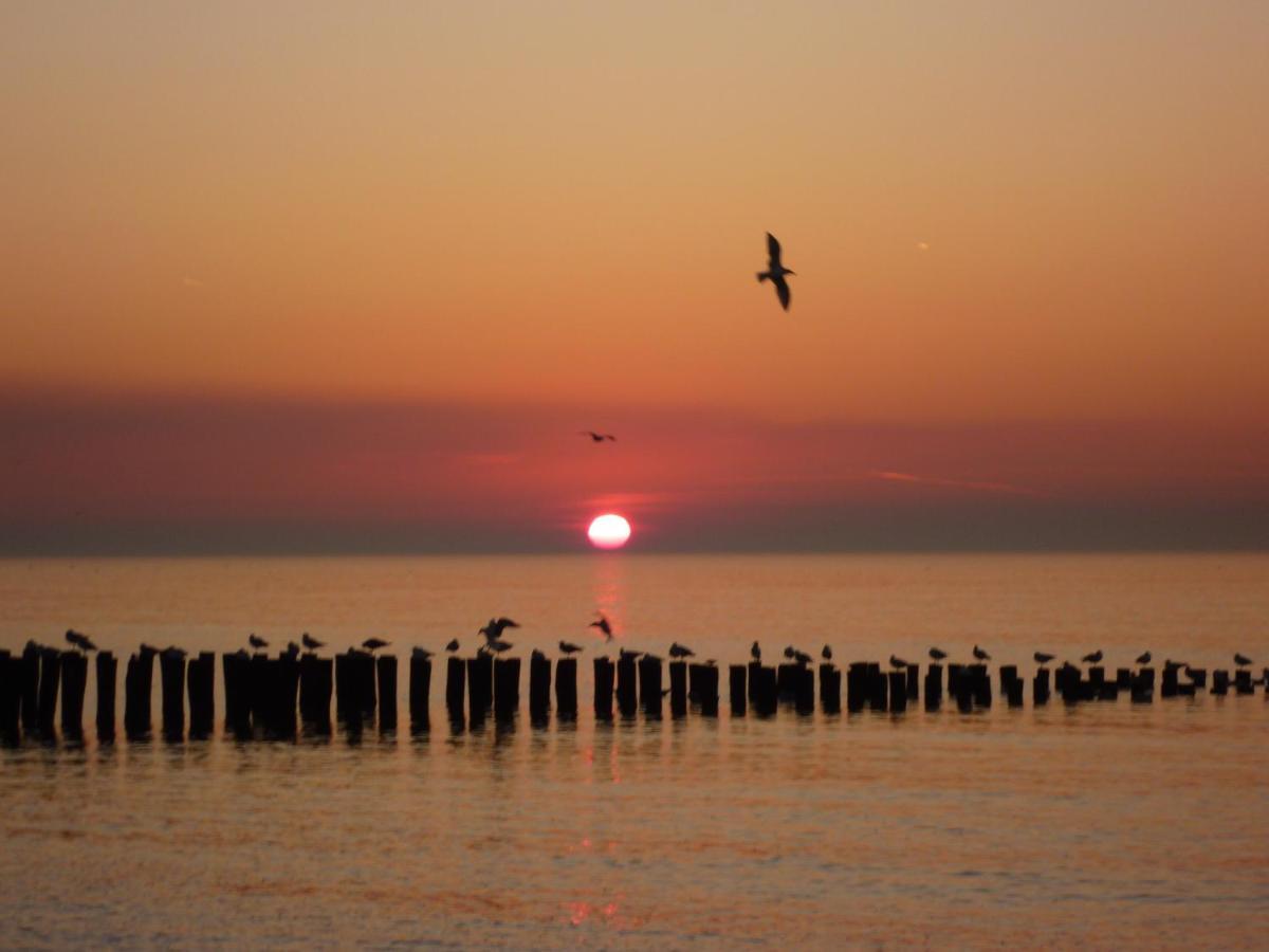 Comfortabel Vakantiehuis In Het Centrum Van Domburg Do18 ภายนอก รูปภาพ